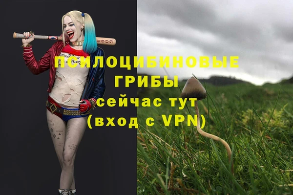стафф Абаза
