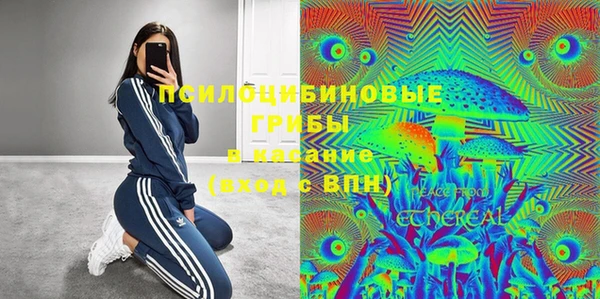 стафф Абаза