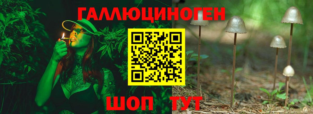 Псилоцибиновые грибы мицелий  Галлюциногенные грибы Psilocybine cubensis  Вход с VPN  Азов 